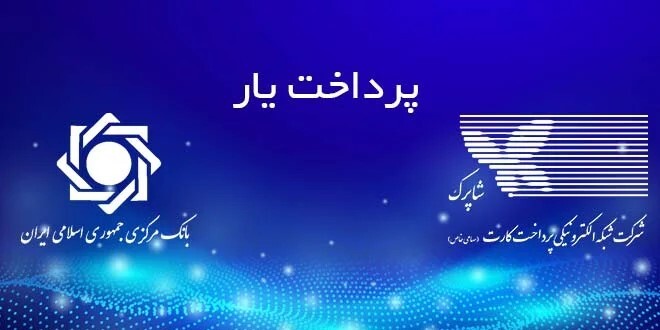  همه‌چیز درباره شرکت‌های پرداخت یاری